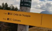 Randonnée Marche Colmars - l autupie Colmars les Alpes belvédères des gardettes - Photo 4