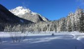 Tocht Sneeuwschoenen Orsières - Champex Lac - Arpette - Champex Lac - Photo 7