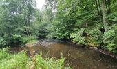 Tocht Stappen Saint-Hubert - rando arville 13/08/2020 - Photo 12