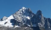 Excursión Senderismo Chamonix-Mont-Blanc - MASSIF DU MONT BLANC: INDEX-LAC BLANC-FLEGERE - Photo 6