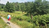 Trail On foot Bouillon - Lannoo GrWandArd 79 Bellevaux de watermolenwandeling (PVDB) - Photo 9
