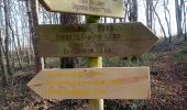 Trail Walking Sadillac - Sadillac 18,5 km - Photo 2