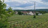 Excursión Senderismo Azy-sur-Marne - Bonneil  - Photo 6