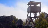 Tour Wandern La Roquebrussanne - 10844300-chapelle st andre ,grotte 400 moutons source oris - Photo 15