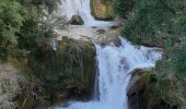 Tour Wandern Carcès - carces - Photo 1