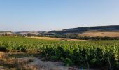 Tour Wandern Condé-en-Brie - La vallée du Surmelin - Photo 3