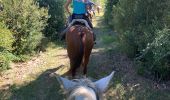 Trail Horseback riding Fanlo - Parc National d’Ordesa J4 - Photo 3