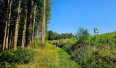 Tocht Stappen Vresse-sur-Semois - Balade à Orchimont - Les Moinils - Photo 5