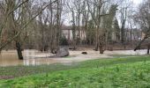 Trail Walking Yerres - Boucle autour de Yerres via Mandres / Boussy / Epinay - Photo 2