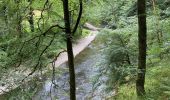 Randonnée Marche Bourscheid - Escapardenne Lee Trail: Moulin de Bourscheid - Hoscheid - Photo 13