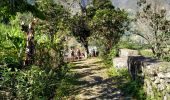 Tour Wandern Lombo de Figueira - Cabo de Ribeira - Vila das Pombas - Photo 5