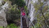 Trail Walking La Palud-sur-Verdon - Sentier Blanc Martel - Photo 9