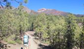 Excursión Senderismo Vilaflor - Lunar Landscape Hike in Villaflor (Tenerife) - Photo 20