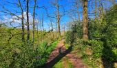 Tocht Stappen Thuin - Balade dans le Bois du Grand Bon Dieu-Thuin - Photo 16