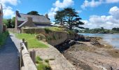 Excursión Senderismo Île-de-Bréhat - JOURNEE A L'ILE DE BREHAT - Photo 17