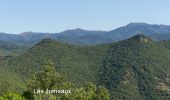 Trail On foot Ganges - Ganges - Les Jumeaux -Voie verte - Photo 1