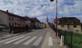 Percorso Bici da strada Rohrbach-lès-Bitche - EXT 85-01 Rohrbach les Bitche - Photo 1