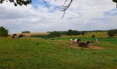 Randonnée Marche Onhaye - Balade de Falaën à Sosoye - Photo 5