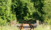 Tour Zu Fuß Naila - Marxgrüner Panoramaweg US 46 - Photo 2