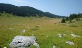 Trail Walking La Chapelle-en-Vercors - la Sarna /Roche Rousse - Photo 13