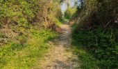 Trail Walking Précy-sur-Oise - randonnée de precy au bois st Michel - Photo 3