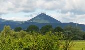 Randonnée Marche Sélestat - Sélestat le Grand Ried - balade dans la forêt de l'II - passerelles - Photo 12