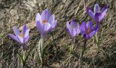 Percorso A piedi Ventasso - Garfagnana Trekking - Tappa 7 - Photo 1