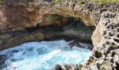 Tocht Stappen Anse-Bertrand - SityTrail - pointe du soufleur  - Photo 6