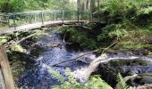 Randonnée Marche Belfast - glenarif forest park - waterfalls - Photo 1
