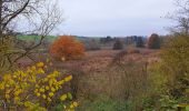 Trail Walking Ham-sur-Heure-Nalinnes - Balade à Cours-sur-Heure - Photo 2