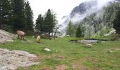 Tocht Stappen Saint-Martin-Vésubie - Boreon, Refuge Cougourde, Lac Trecolpas - Photo 3