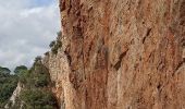 Trail Walking Cabasse - les dolmens 3 - Photo 8