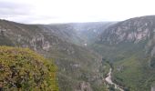 Trail Walking Massegros Causses Gorges - La Bourgarie et les gorges du Tarn - Photo 2
