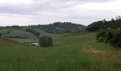 Tocht Stappen Castelfiorentino - Coiano /  Pancole - Photo 16