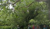 Trail Walking Saint-Jean-de-Buèges - St Jean de Buèges  - Photo 11