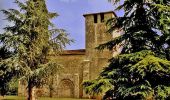 Percorso A piedi Barbaste - La Randonnée des Bastides et Châteaux en Albret - 21.4 km - Photo 4