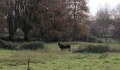 Randonnée Marche Mazières-en-Gâtine - Mazières-en-Gâtine Golf - Photo 3