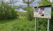 Randonnée Marche Modave - Promenade du rocher de vieux château  - Photo 8