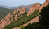 Trail Walking Saint-Raphaël - Agay - Rastel d'Agay - Drapeau - Pic du Cap Roux - Photo 11