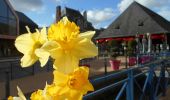 Tour Wandern Clères - 20230406-Cleres les  jonquilles  - Photo 1