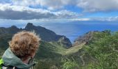 Tour Wandern Buenavista del Norte - PR TF59 Mirador Cruz de Hilda -Masca  - Photo 4