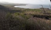 Tour Wandern Le Marin - cap macré par les mornes - Photo 3