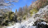 Tocht Stappen Séranon - Seranon  Crête du Bauroux  - Photo 4