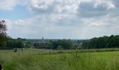 Tour Wandern Doische - Gochenee 19 km - Photo 2