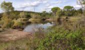 Tocht Stappen Roquebrune-sur-Argens - z les 3 ruisseaux 20-10-20 - Photo 1