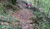 Trail Walking Houffalize - NISRAMONT ... les Deux Ourthes. - Photo 1