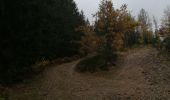 Trail Walking Manhay - la chavée courte - Photo 4