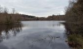 Tour Wandern Saint-Nabord - 19-04-23 col de Raon - étang de la plaine - chalet des Puiseux - Photo 5