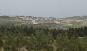 Trail On foot Merom HaGalil Regional Council - Amuka Forest Scenic Road - Photo 4