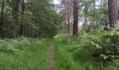 Percorso Marcia Theux - tancremont - mousset versant vesdre retour via versant hoegne - Photo 6